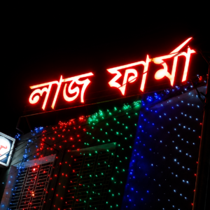 LED SIGN BD Silver Colour SS Letter Red Light