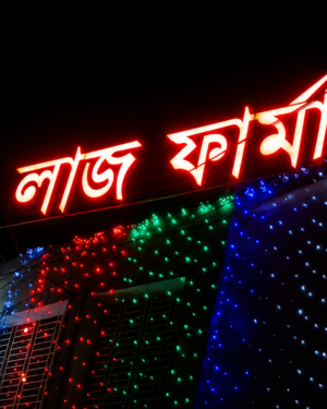 LED SIGN BD Silver Colour SS Letter Red Light