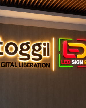 SS LED Top Letter Backlight Signage